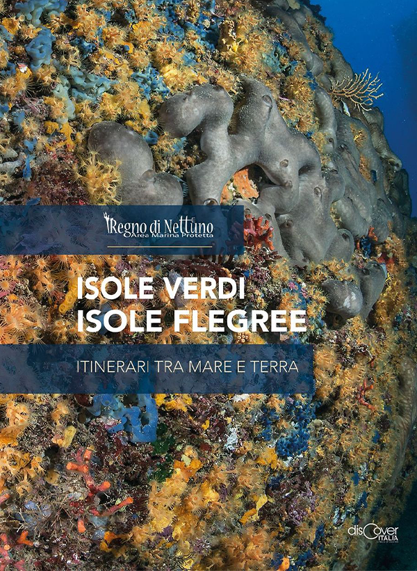 Isole verdi Isole Flegree - Itinerari tra terra e mare Copertin del libro Isole verdi Isole Flegree - Itinerari tra terra e mare